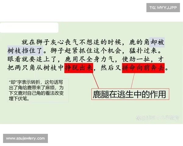 《浅析判脚误的成因及其对比赛公正性的影响与对策》 《浅析判脚误的成因及其对比赛公正性的影响与对策》